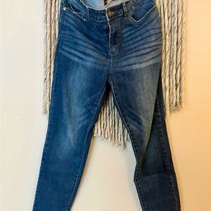Judy Blue Dark Wash Skinny Jeans